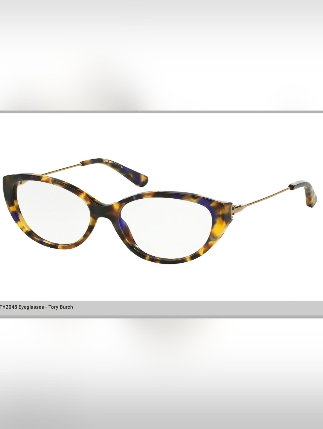 Tory Burch Frames And Case
